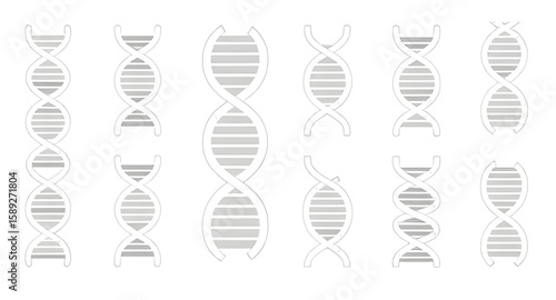 DNA icon, DNA vector, double helix icon, genetic icon, genetics vector, DNA strand, molecular icon, chromosome vector, biology icon, science icon, DNA structure, helix icon, genome vector, DNA molecul
