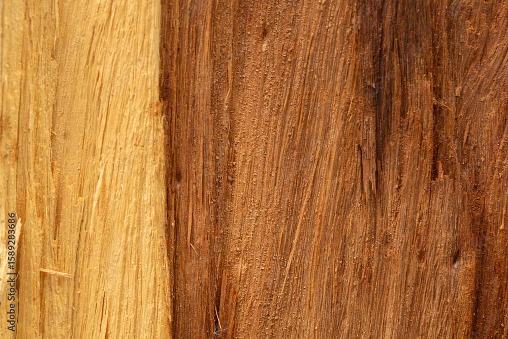 Fototapeta premium Macro wood texture,Close-Up of Dark Wood Texture with Deep Grooves,Old wood textured background. Dark driftwood surface, burnt wood brushing, macro brown floor