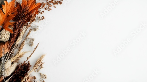Autumn Foliage and Dried Flowers Arranged on a White Background for Seasonal ...