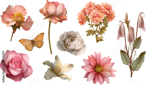collection of flowers and butterfly element illustration