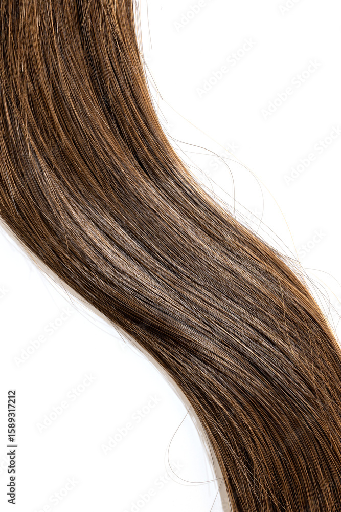Fototapeta premium brown hair on white background