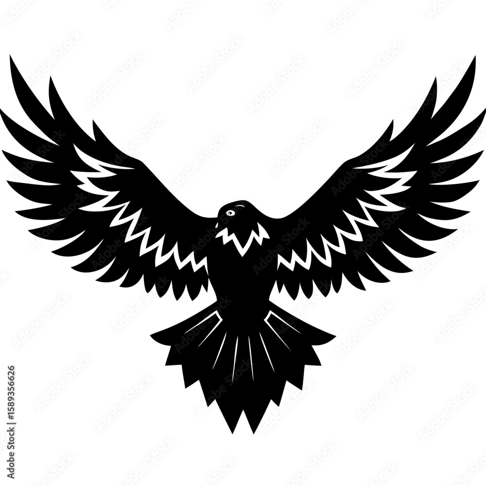 Obraz premium eagle with wings