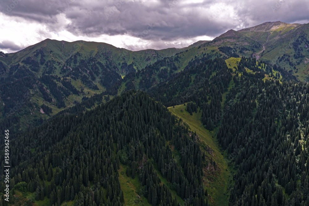 Obraz premium Ile-Alatau National Park. Mountainous area with different vegetation near Almaty. The Tian Shan Mountains.