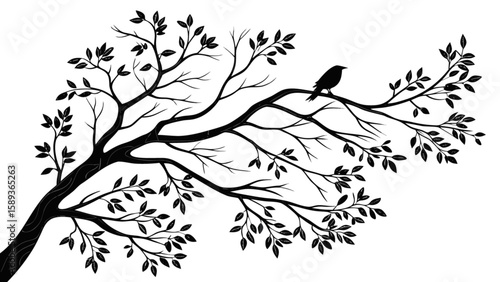 Black tree branch silhouette with bird vector illustration nature art design graphic element isolated artwork