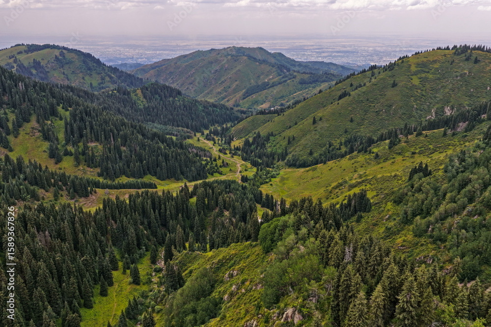 Obraz premium Ile-Alatau National Park. Mountainous area with different vegetation near Almaty. The Tian Shan Mountains.
