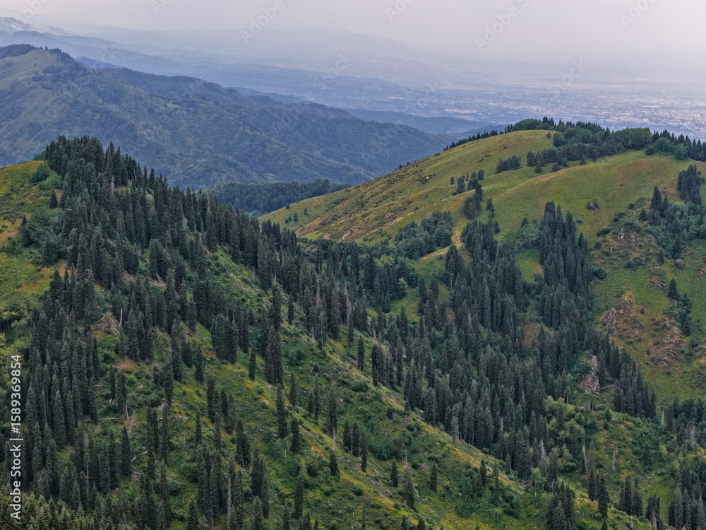Fototapeta premium Ile-Alatau National Park. Mountainous area with different vegetation near Almaty. The Tian Shan Mountains.