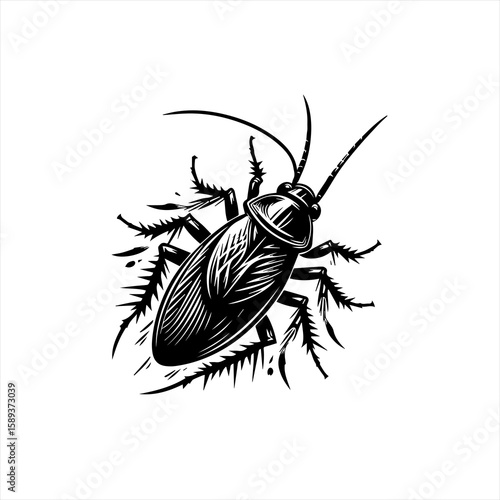 A cockroach illustration isolated on white background
