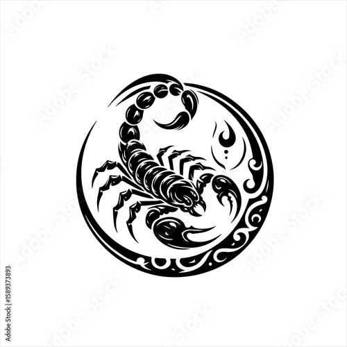 A dangerous scorpion isolated on white background