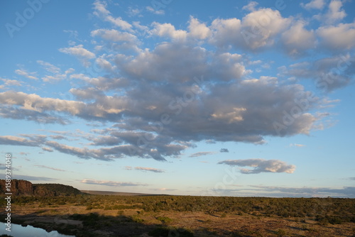 Breathtaking Savanna Landscape in Kruger National Park