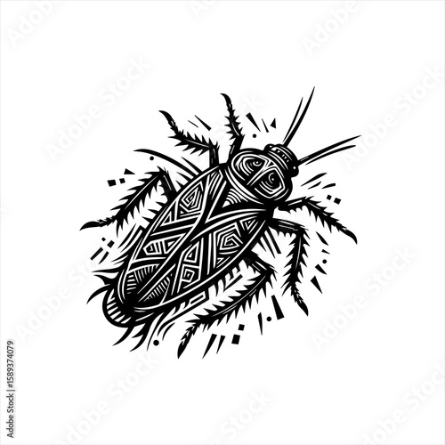 A cockroach isolated on white background