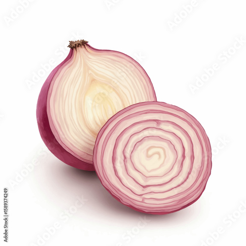 A halved red onion reveals its concentric rings, showcasing its vibrant color and layered texture against a clean white background.