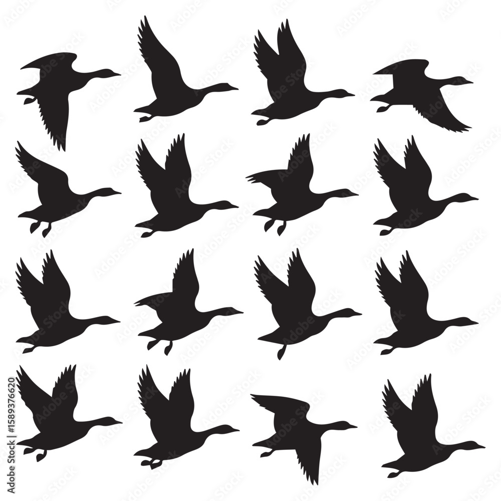 Obraz premium Graceful waterfowl silhouettes showcase soaring migration patterns against a clean white backdrop for natural beauty