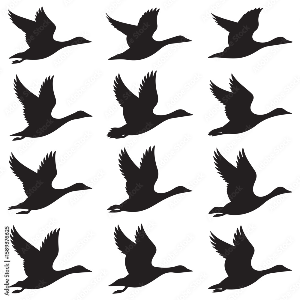 Fototapeta premium Elegant swans gracefully soar through the sky in a dynamic silhouette migration pattern against a clean, white backdrop.