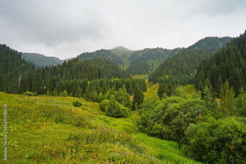 Obraz premium Ile-Alatau National Park. Mountainous area with different vegetation near Almaty. The Tian Shan Mountains.