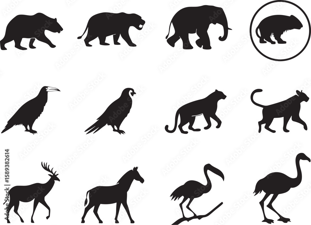 Fototapeta premium animal silhouette vector, Bundle icons and white background 