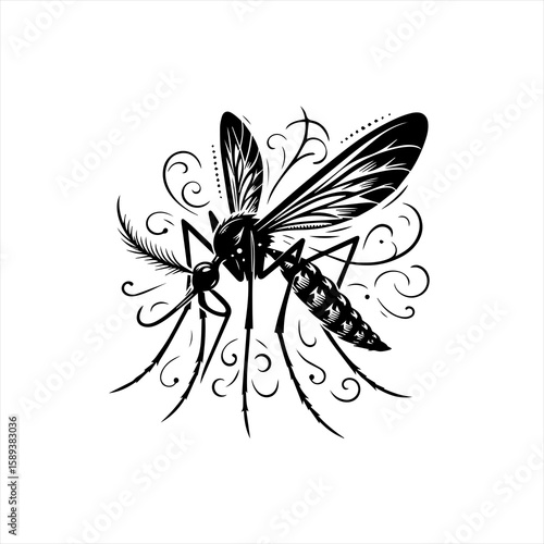 A mosquito isolated on white background