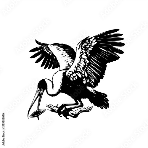 Heron catching a fish