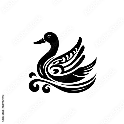 A swan isolated on white background