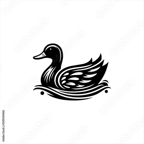 A duck floats on water