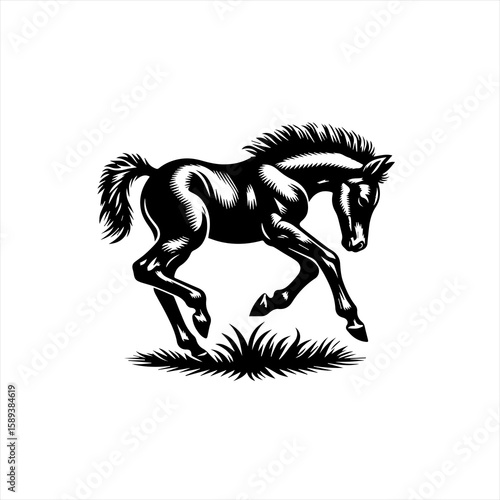 A foal is running on grass