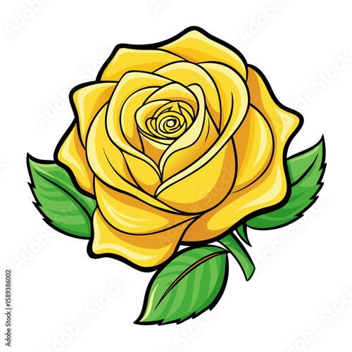 vector illustration of rose