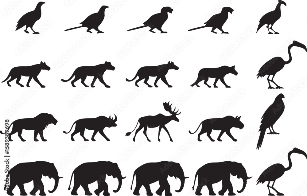 Fototapeta premium animal silhouette vector, Bundle icons and white background 