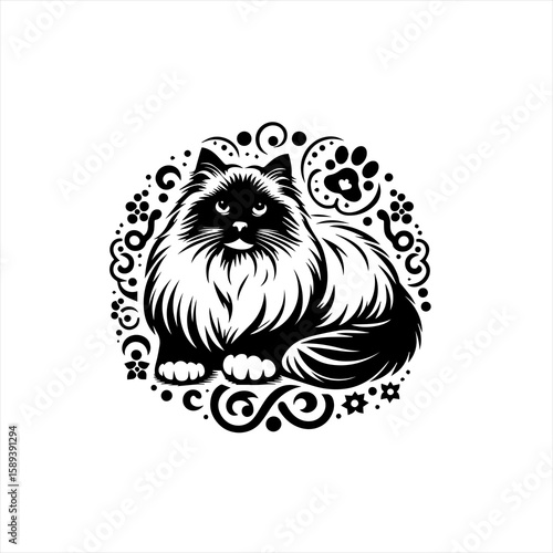 A fluffy cat is surrounded by decorative swirls, isolated on white background