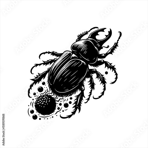 A detailed black and white drawing of a beetle isolated on white background