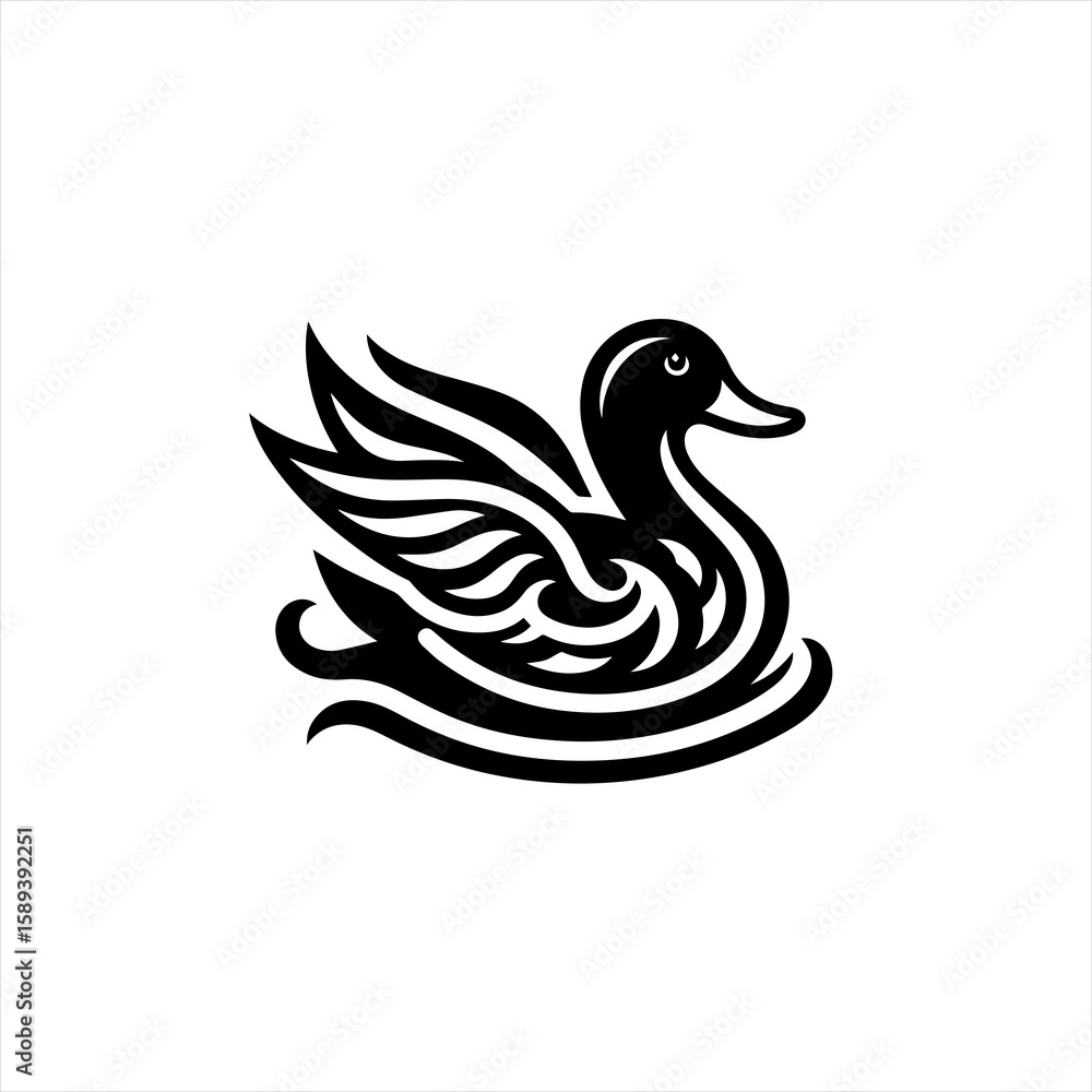 Fototapeta premium A black duck is swimming, isolated on white background