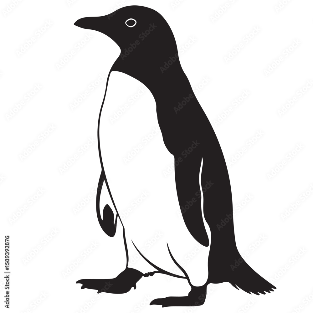 Obraz premium Black and white illustration of a penguin, standing upright on a white background.