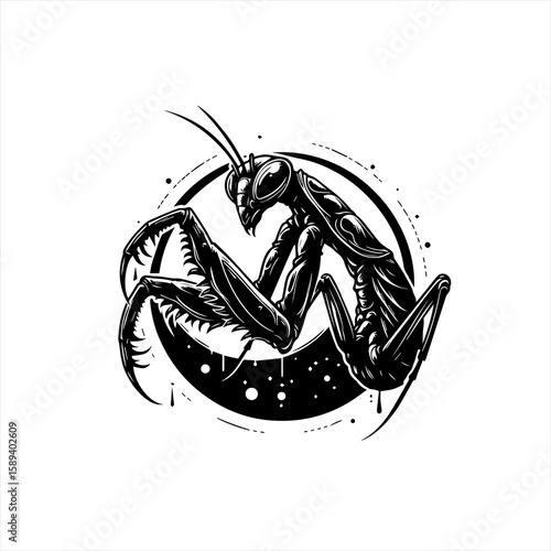 A black and white drawing of a praying mantis isolated on white background
