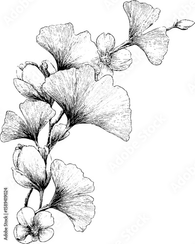 Vintage engraved illustration of decorative floral corner for retro design