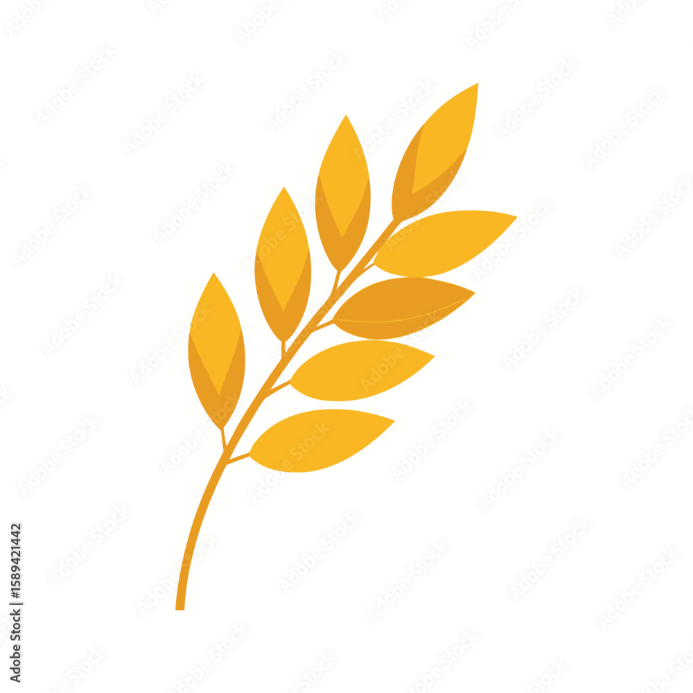 autumn leaves isolated on white autumn leaves isolated on white