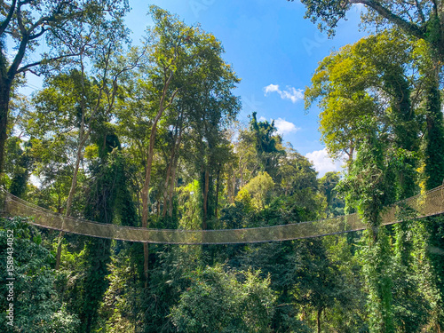 Canopy Walk, zipline and biking in the tropical rainforest jungle, La Foret in Laos