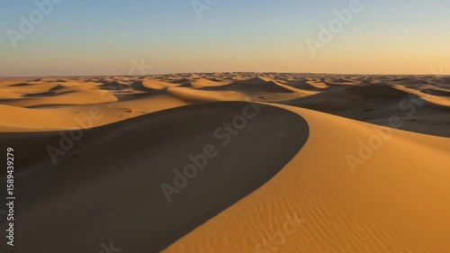 Wallpaper Mural Golden sunlight casting long shadows across curved desert sand dunes in evening seamless looping time-lapse animation video background. Nature concept Torontodigital.ca