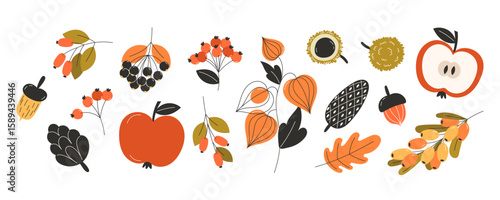 Large collection of autumn fall fruits berries and nuts in flat style featuring apples red berries acorns leaves and seasonal harvest elements for decorative design