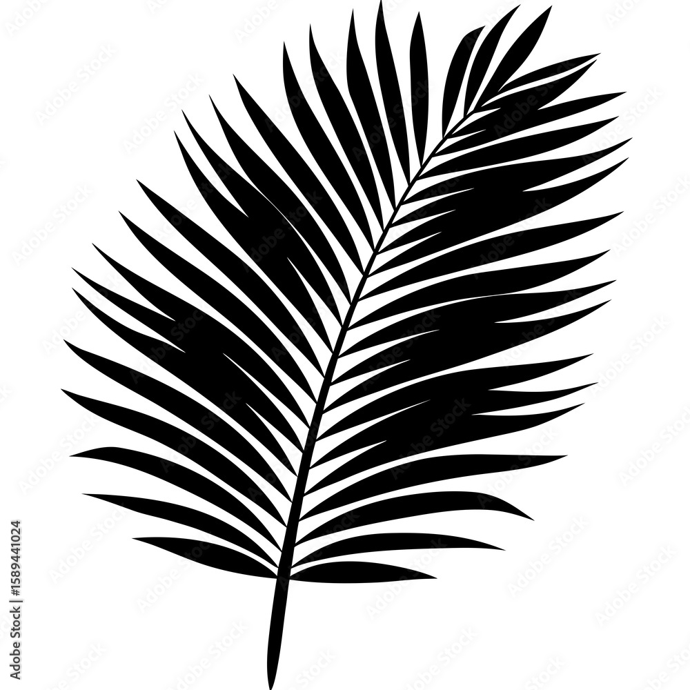 Fototapeta premium Palm Leaf Vector Silhouette