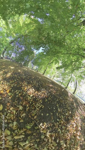 Take a leisurely stroll through a stunning autumn park with this calming video. The sun is shining through the trees, the leaves are a beautiful golden brown, and the air is crisp and refreshing. The