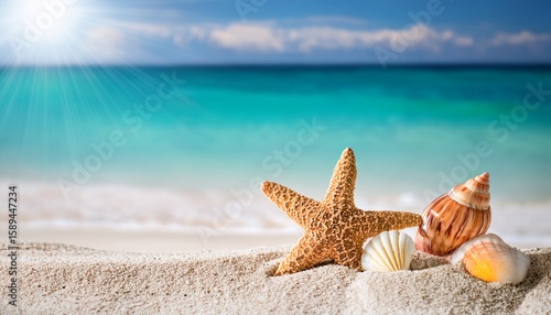 seashells and starfish on sunny beach sand with turquoise ocean background