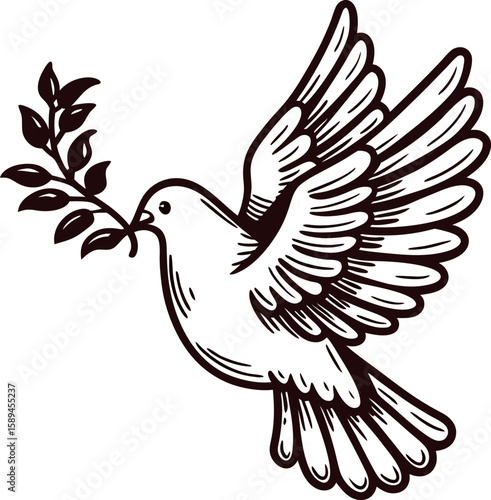 Detailed hand drawn flying dove with olive branch in beak, vintage engraving black and white illustration