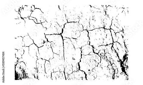 cracked on the soil, soil cracked texture vector
