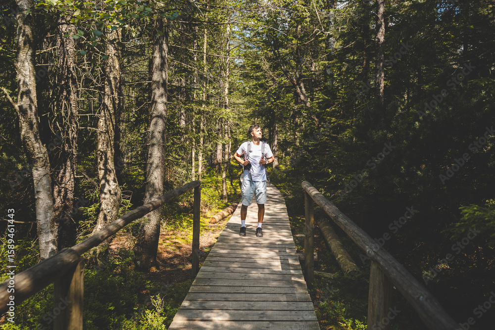 A man is walking on a wooden bridge in a forest A man is walking on a wooden bridge in a forest