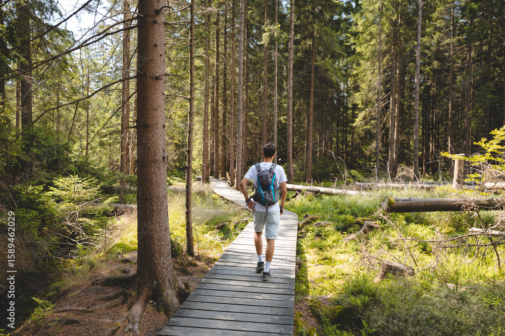 A man is walking on a wooden bridge in a forest A man is walking on a wooden bridge in a forest
