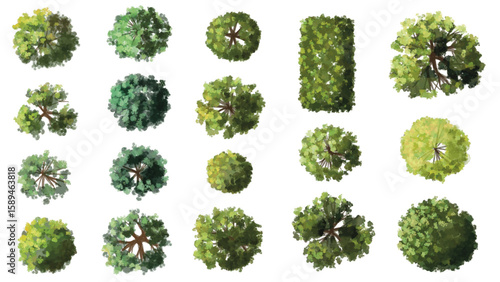 Vector watercolor green tree or forest top view isolated on white background for landscape plan and architecture drawing,plant for environment or garden,botanical element for exterior layout
