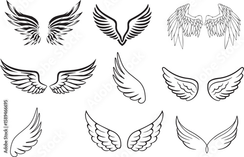 bird vector art