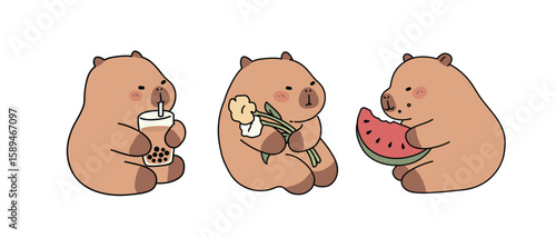 Set of Cute Capybara with Boba Tea, Flowers, Watermelon Illustration, kawaii animal vector.