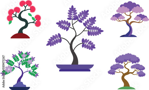 Jacaranda Mimosifolia Bonsai Vector Illustration