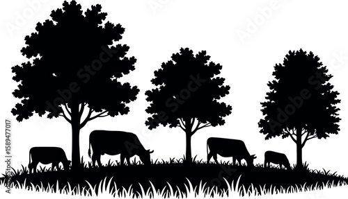 Black silhouette of cows grazing under trees on a grassy hill cattle livestock