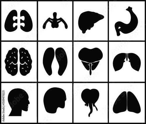 Collection of human organ and body part silhouettes isolated on transparent background silhouette