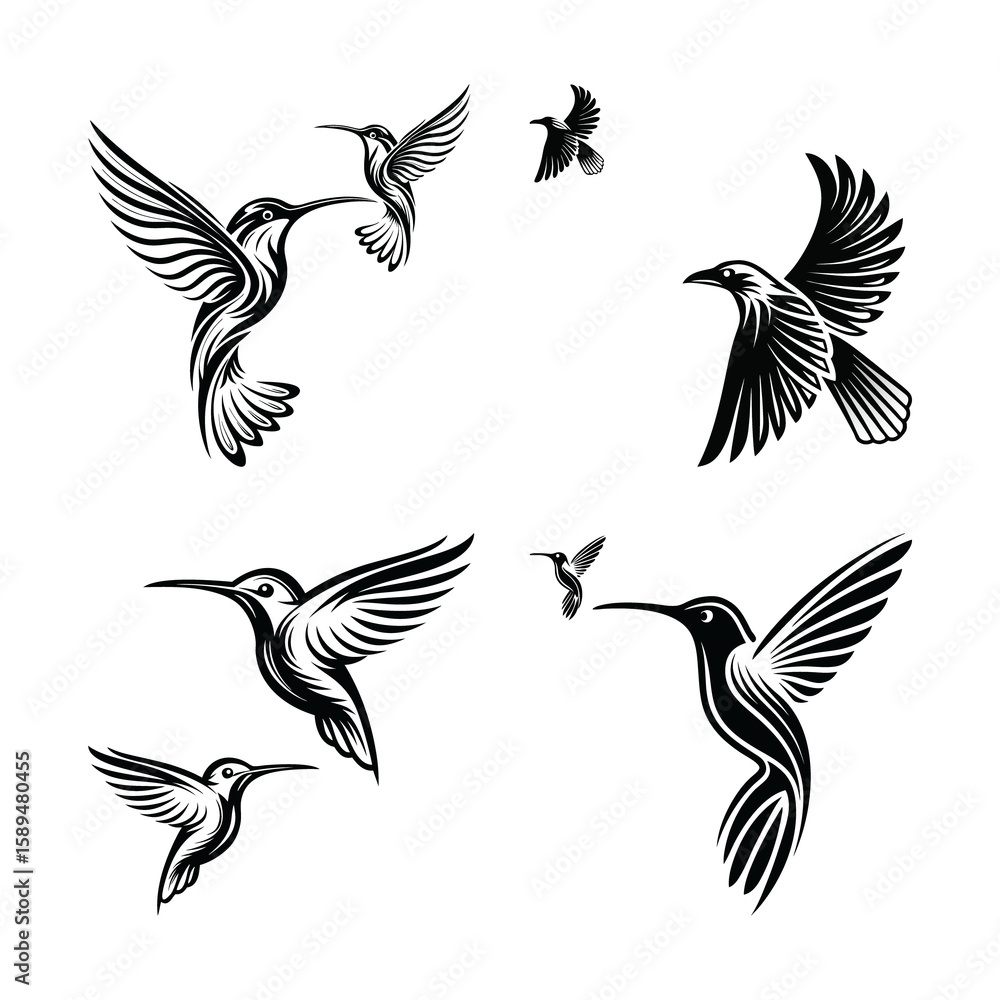 Obraz premium set of silhouettes of birds on white background